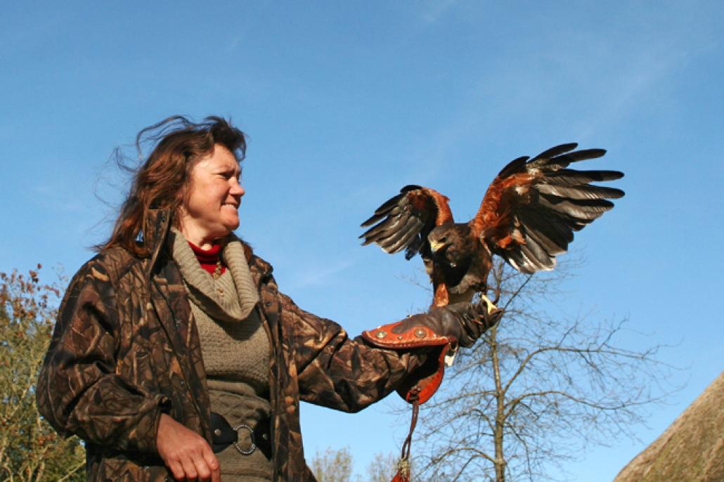 Frei wie ein Vogel